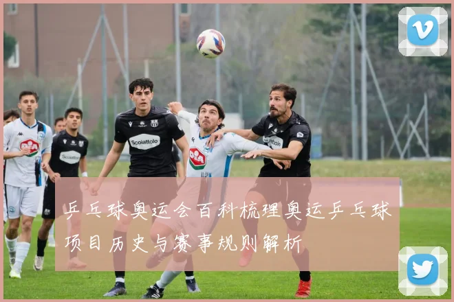 乒乓球奥运会百科梳理奥运乒乓球项目历史与赛事规则解析