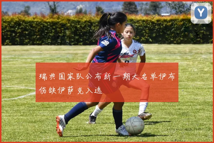 瑞典国家队公布新一期大名单伊布伤缺伊萨克入选