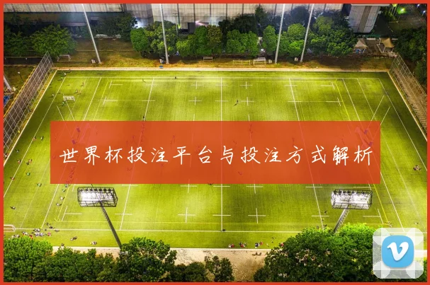 世界杯投注平台与投注方式解析